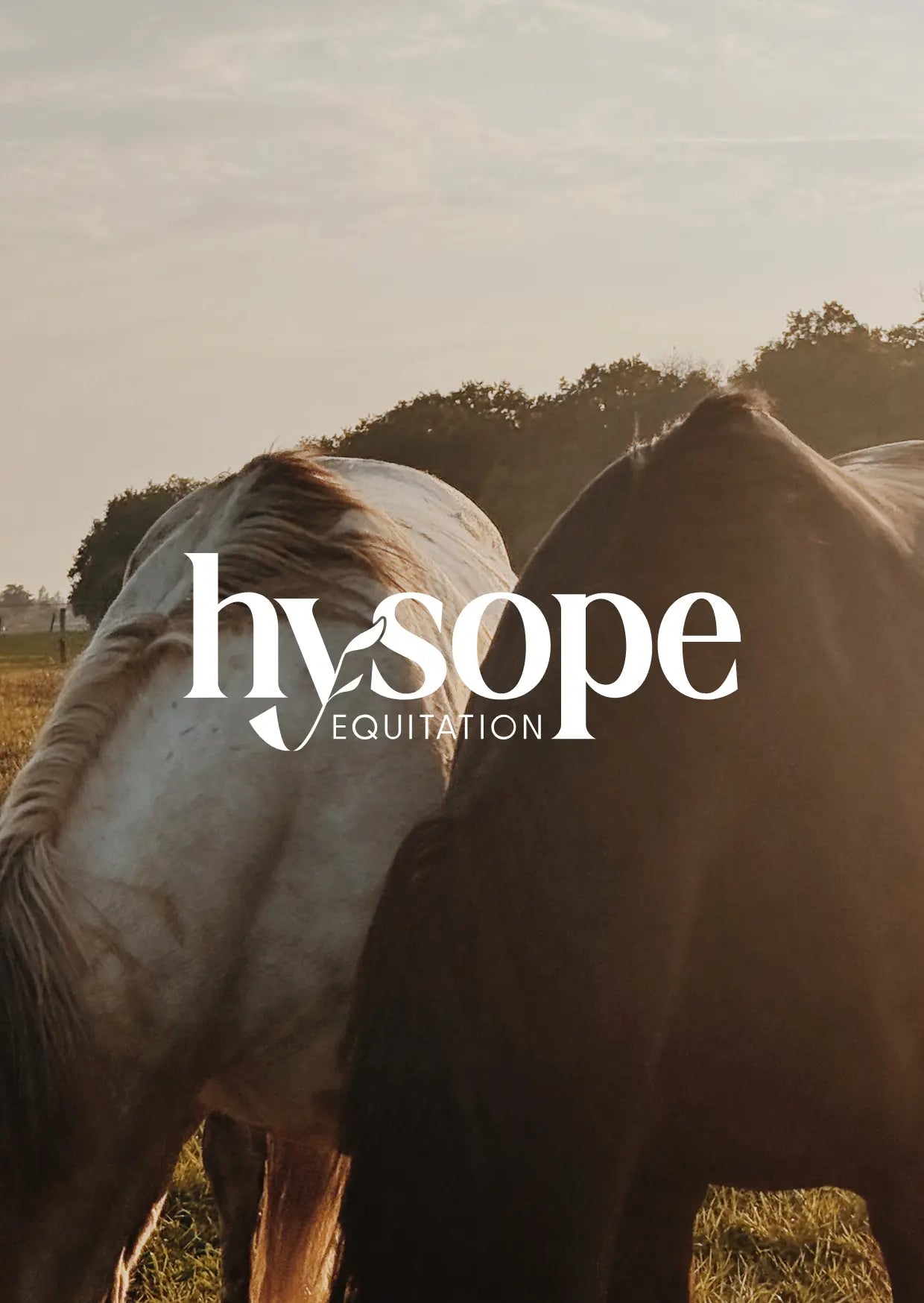 Carte cadeau Hysope Équitation Hysope Équitation