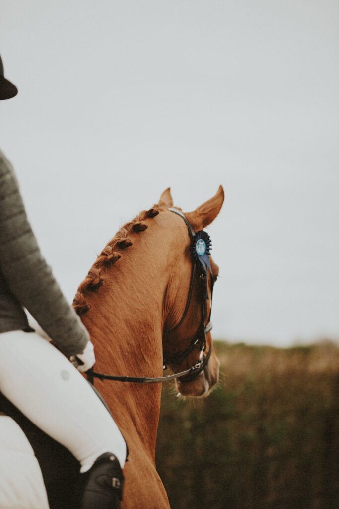 cheval alezan en concours, avec femme mesurant moins de 1m60, en tenue et pantalon blanc