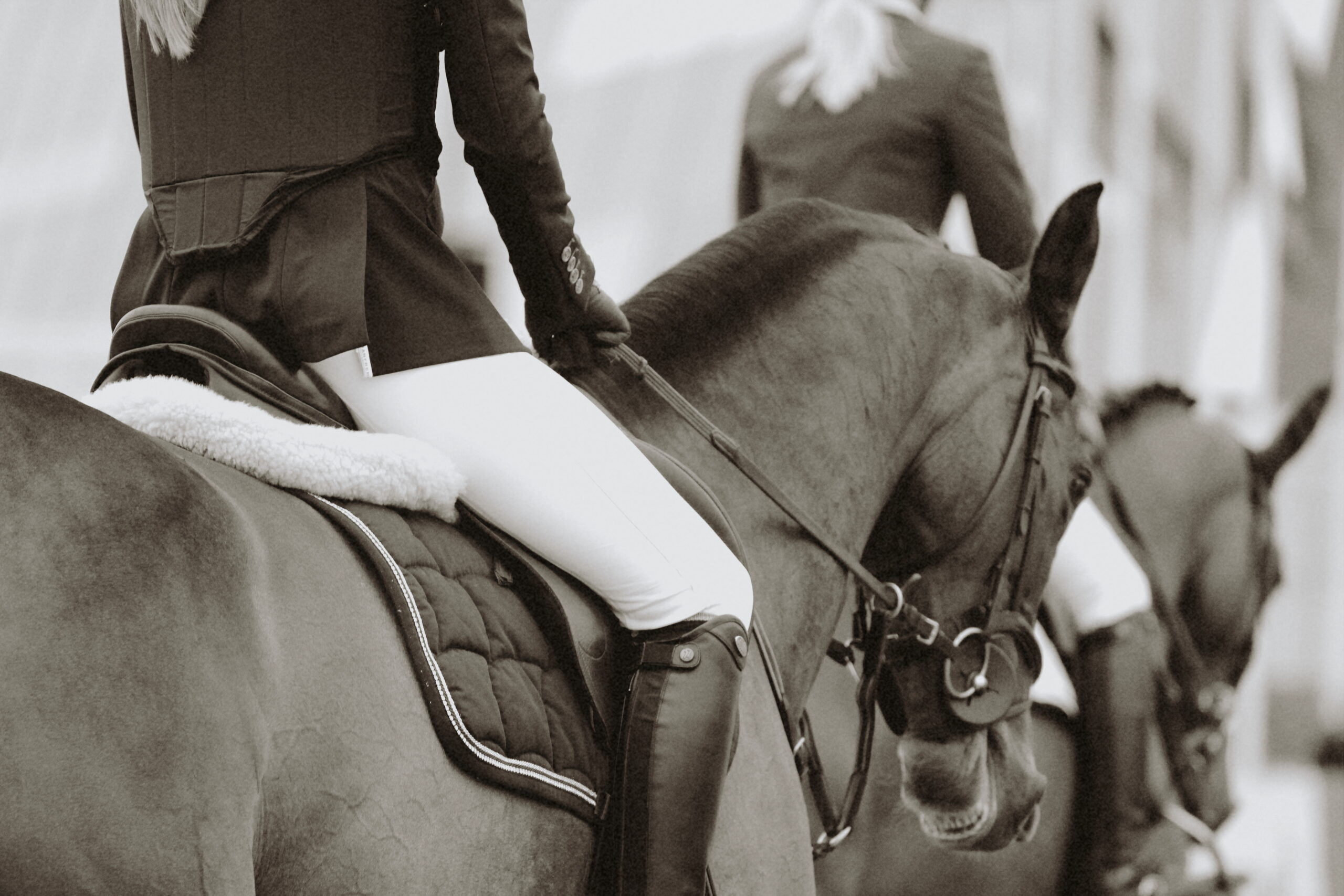 femme de petite taille en tenue de concours d'équitation, sur son cheval