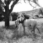 mise en avant d'une femme petite, qui présente de l'audace, de l'assurance et qui est en pleine connection avec la nature et sa jument grise.